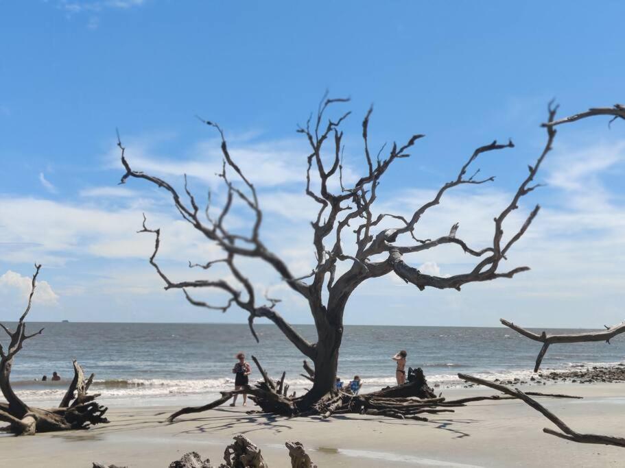 Jekyll Island House/ Kellys On The Coast /King Bed Vila Exterior foto